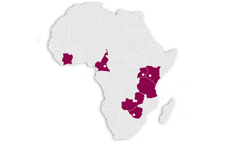 A Map of Africa showing countries with the FES Just City Project