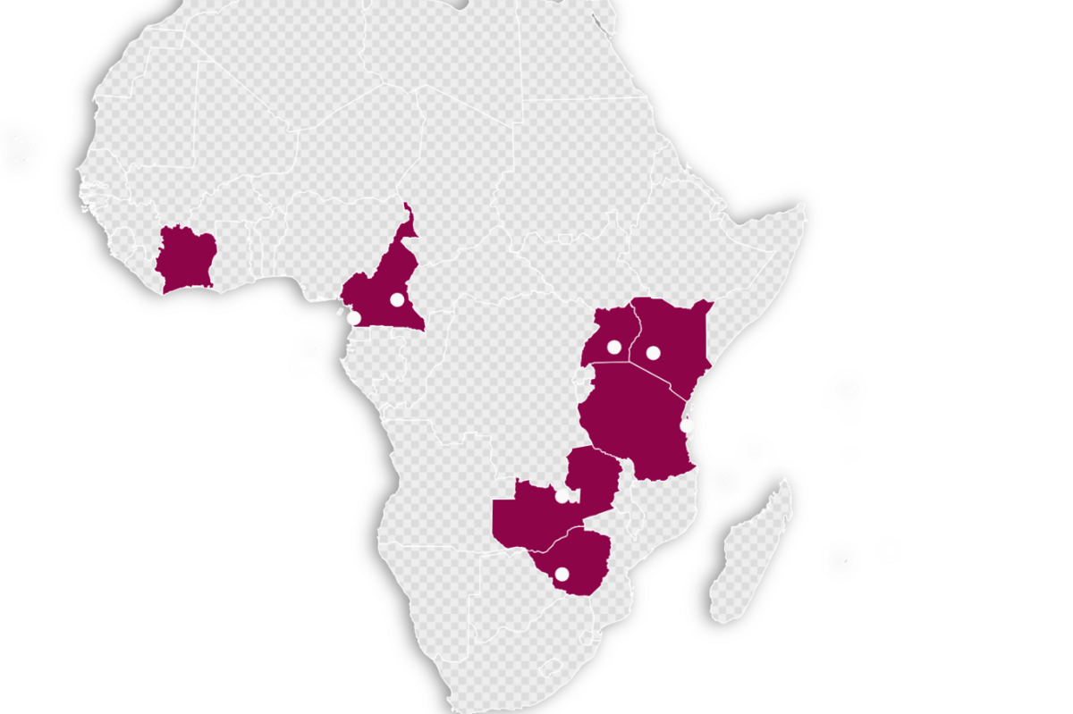 A Map of Africa showing countries with the FES Just City Project