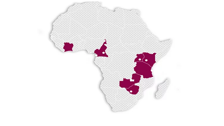A Map of Africa showing countries with the FES Just City Project